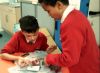 Year 6 Workshop